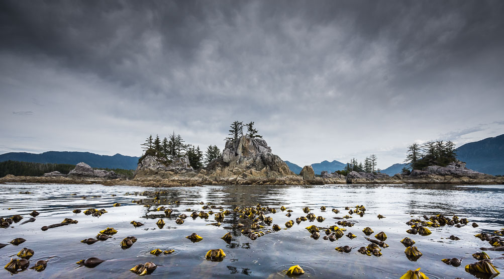 Transfixing Islet surrounded by the Bull  and Brown Kelp guardians