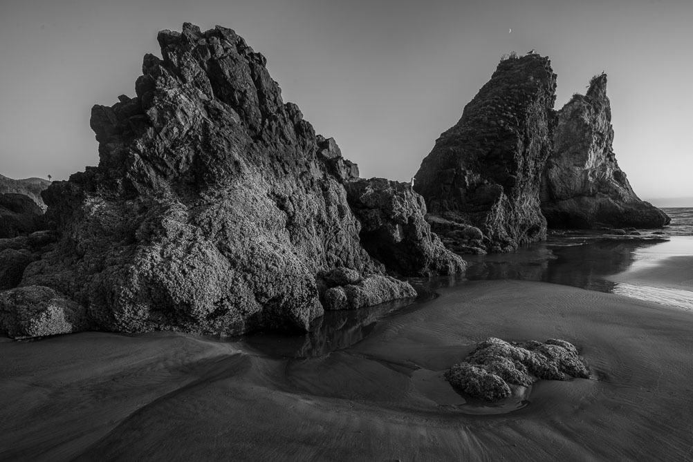 . Sand, Stone and one rock per Gull. Arcadia Beach