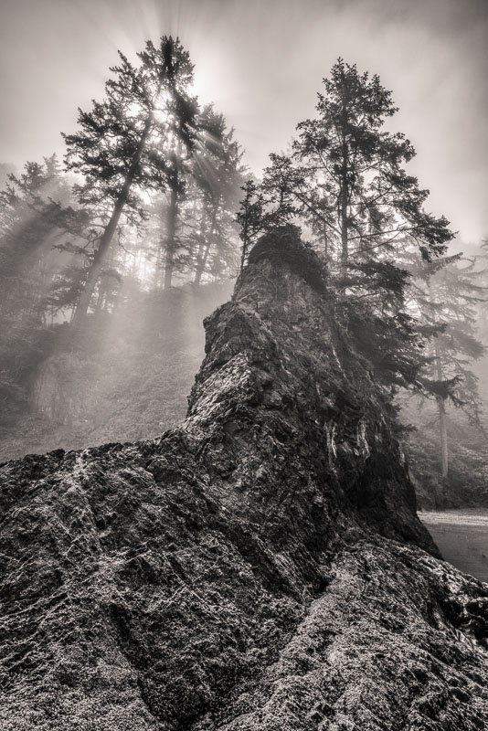 Rock and Sunbeams, La Push, Washington